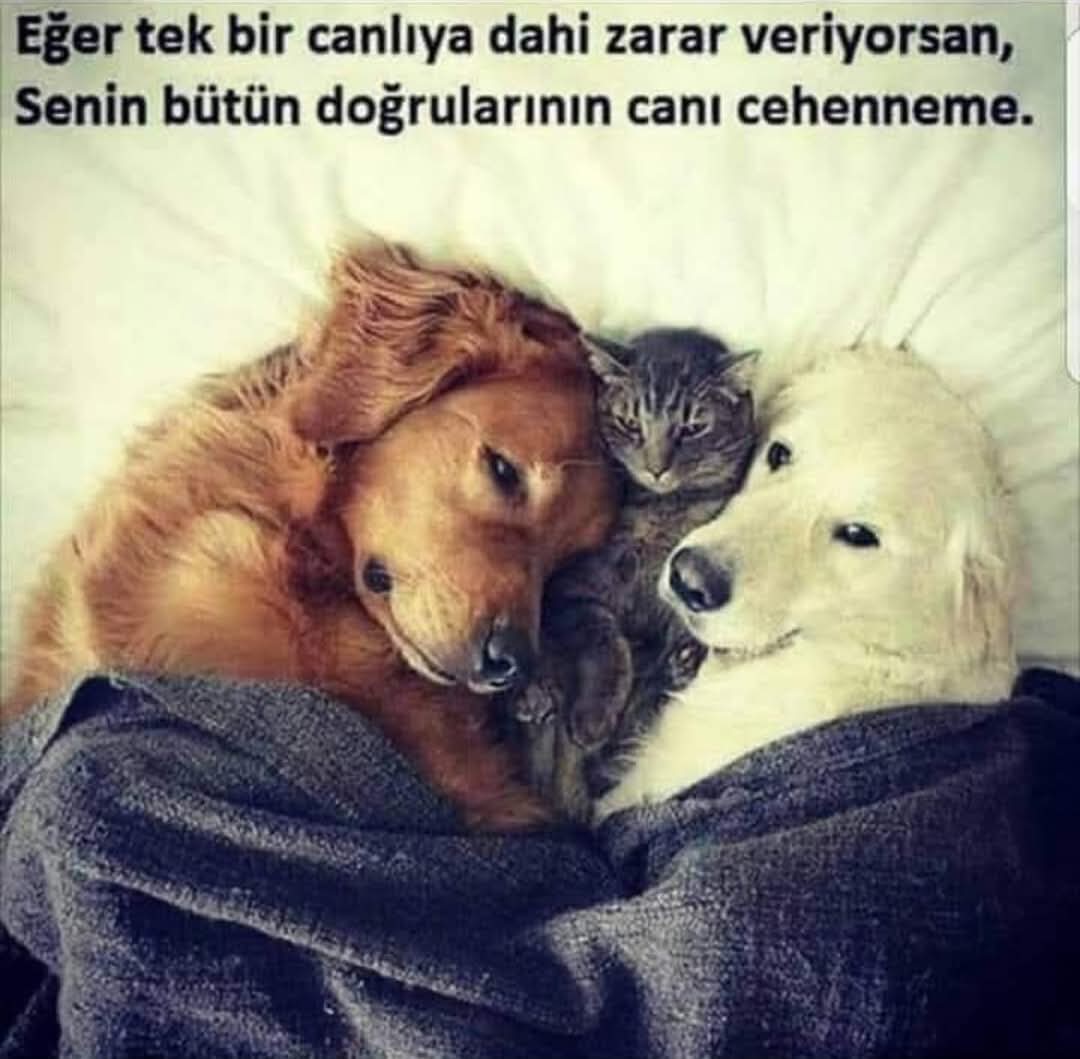 #YasayıİptalEtAYM 
#KatliamınYasasıOlmaz