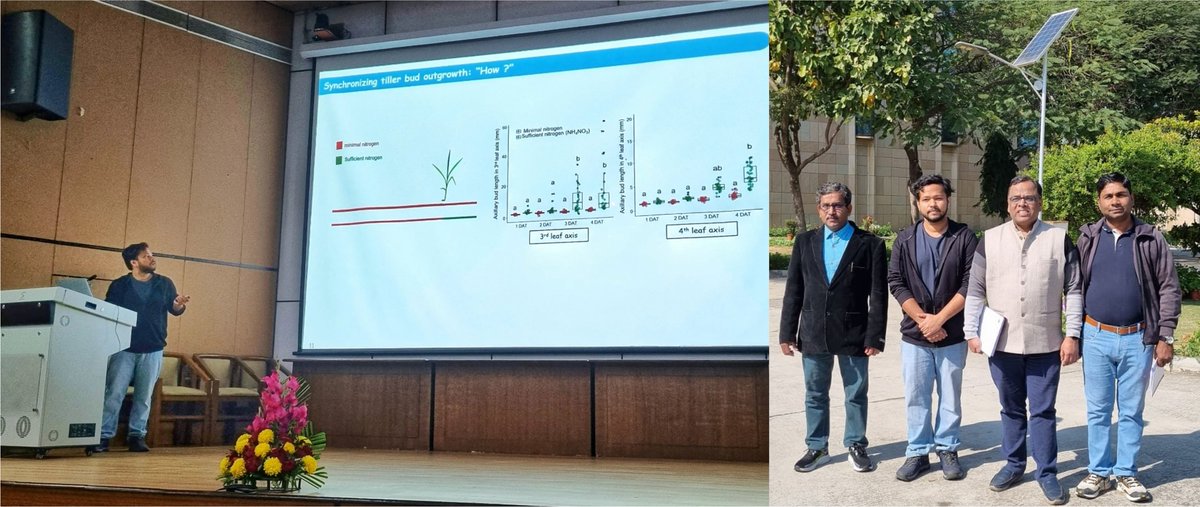 BRIC-NIPGR (@nipgrsocial) on Twitter photo (1/2)
Mr. Sourav Chatterjee successfully defended his Ph.D. thesis entitled, “Understanding the molecular signatures underlying branching and plant architecture in rice” on January 24, 2025.
Congratulations Dr. Sourav Chatterjee!
<a href="/DBTIndia/">Department of Biotechnology</a> <a href="/rajesh_gokhale/">Rajesh Gokhale</a> <a href="/AashishPlantBio/">Aashish Ranjan</a> (1/2)
Mr. Sourav Chatterjee successfully defended his Ph.D. thesis entitled, “Understanding the molecular signatures underlying branching and plant architecture in rice” on January 24, 2025.
Congratulations Dr. Sourav Chatterjee!
<a href="/DBTIndia/">Department of Biotechnology</a> <a href="/rajesh_gokhale/">Rajesh Gokhale</a> <a href="/AashishPlantBio/">Aashish Ranjan</a>
