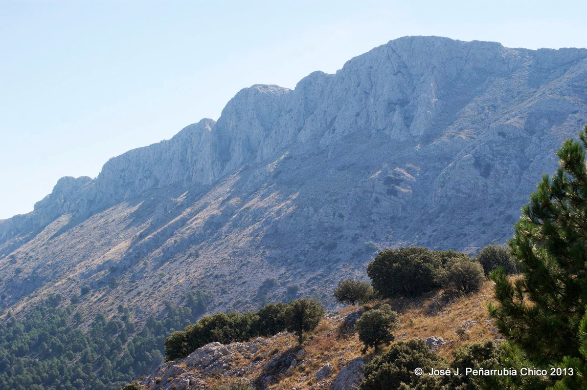 La_Carrasca's tweet image. 🚶🚶♀️Senderismo en sierra de María 🌲
¡Próximo domingo! Descubre un destino donde el senderismo se convierte en una experiencia única de conexión con la naturaleza.
¡Te esperamos!
📲 Inscripciones hasta el jueves a las 15:00 h.
📰Más información:
lacarrascaorg.wordpress.com/2025/01/27/umb…
