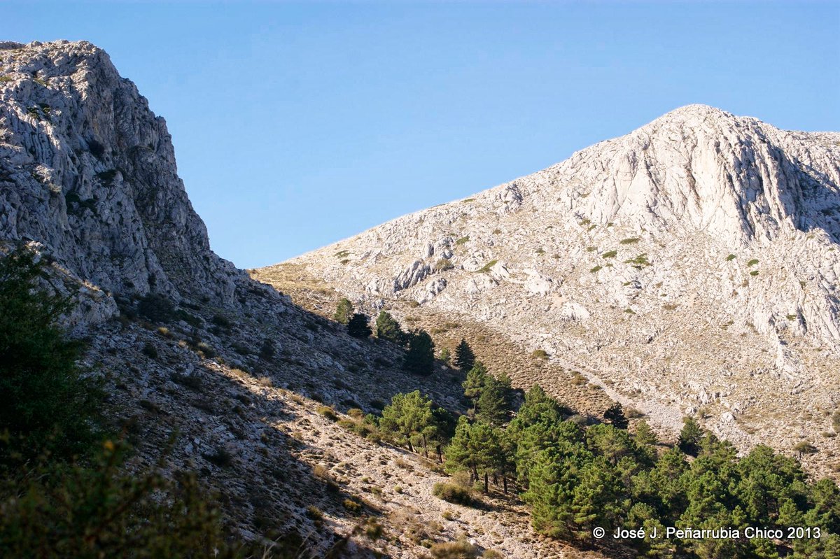 La_Carrasca's tweet image. 🚶🚶♀️Senderismo en sierra de María 🌲
¡Próximo domingo! Descubre un destino donde el senderismo se convierte en una experiencia única de conexión con la naturaleza.
¡Te esperamos!
📲 Inscripciones hasta el jueves a las 15:00 h.
📰Más información:
lacarrascaorg.wordpress.com/2025/01/27/umb…