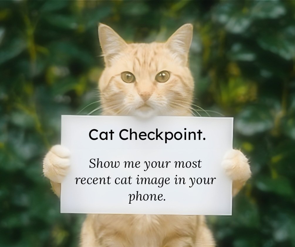 smol silly cat tweet media