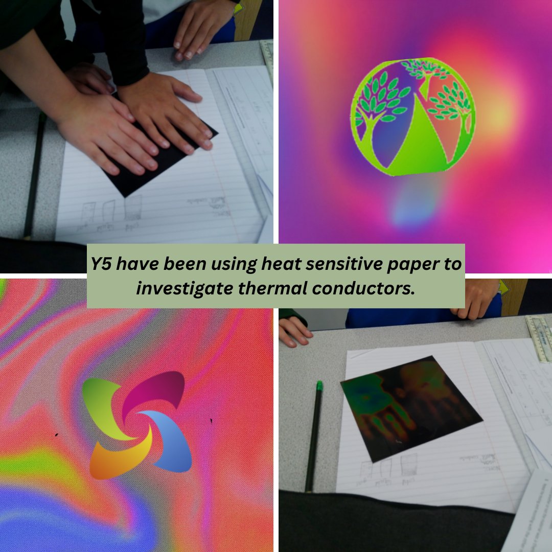 Green Lane Primary and Nursery School tweet media