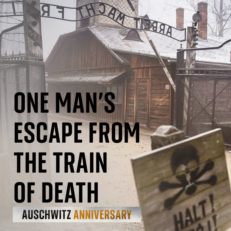 SkyNews's tweet photo. Today marks the 80th anniversary of Auschwitz-Birkenau's liberation, Simon Gronowski tells his story of surviving the Holocaust by jumping off a train headed for the death camp