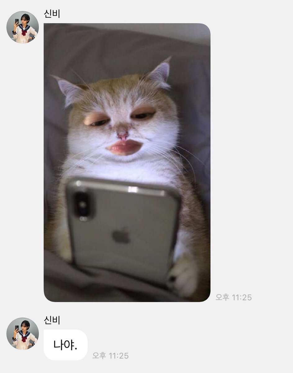 .........? 너무 익숙한 사진이