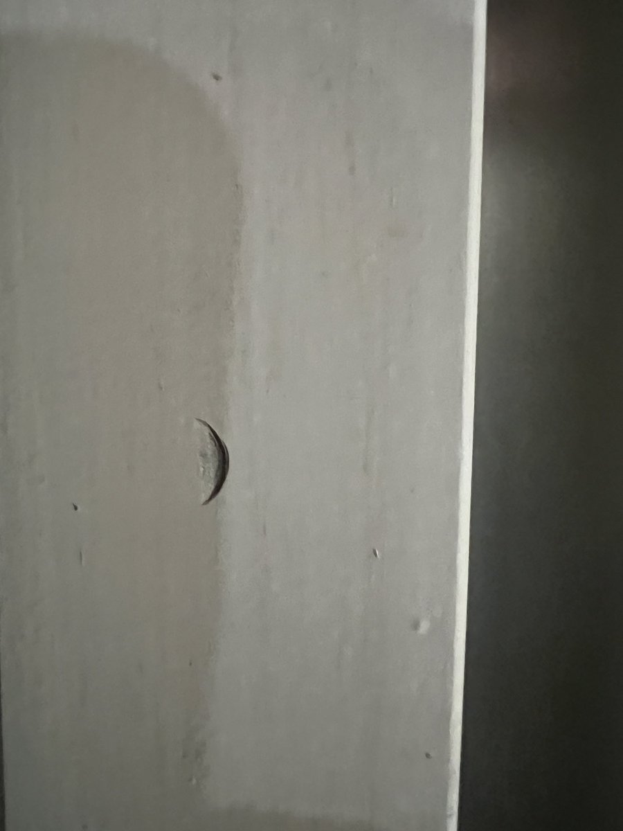 Pine Point P.M. LLC tweet media