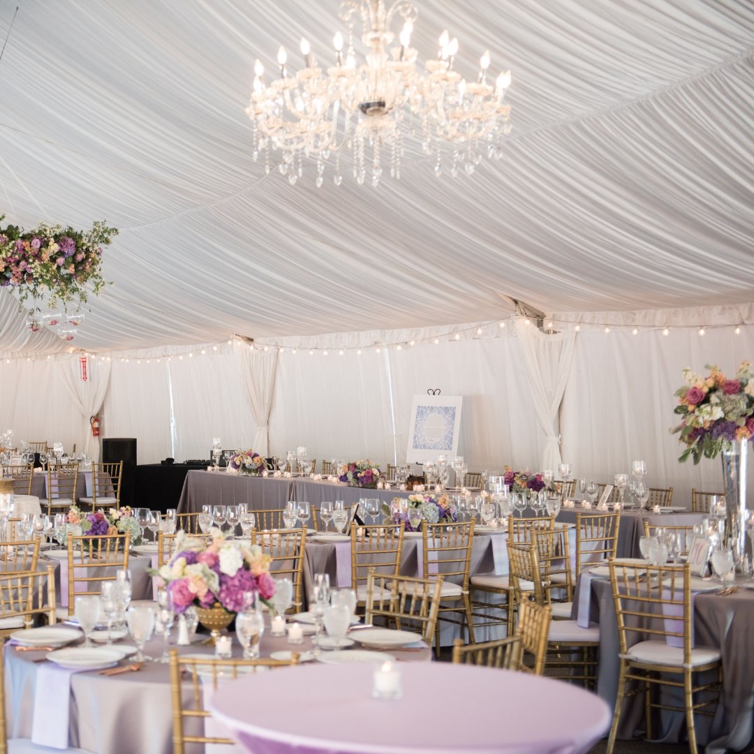 CamelotParties's tweet photo. Don’t let winter’s chill freeze your party plans! Our patio heaters, cozy tents, and stylish tableware make it easy to celebrate all year long. Call Camelot Party Rentals for a warm and welcoming event that guests will rave about.
#OutdoorEvents #TentRentals #PartyInAnyWeathe ... https://t.co/fA7J7reHIW
