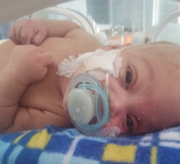 Bettyna Grüber tweet media