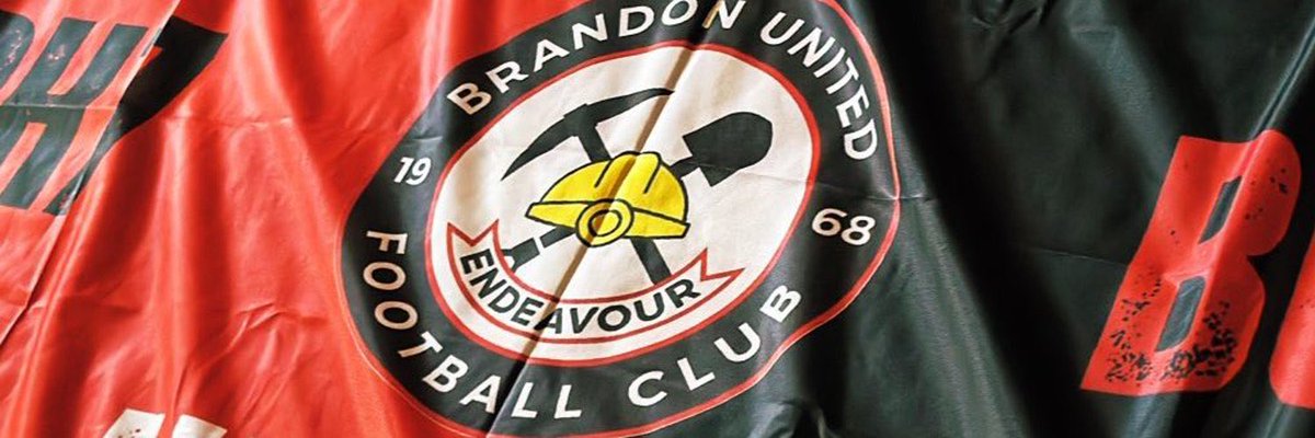 BrandonBOARCoin's tweet image. What are you investing in?