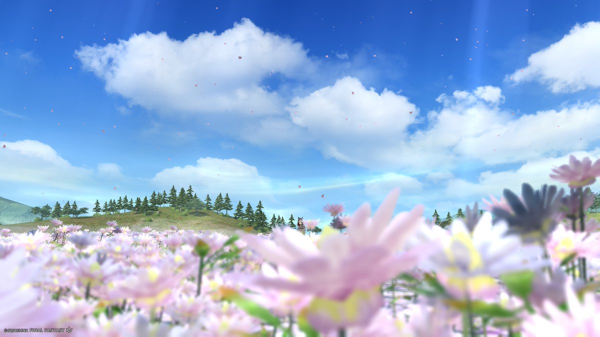 yuultimaff14's tweet photo. やーー(･ω･)9ーー！！！
#ff14 #絶エデン #ららふぇる https://t.co/IWt2pKCMEX
