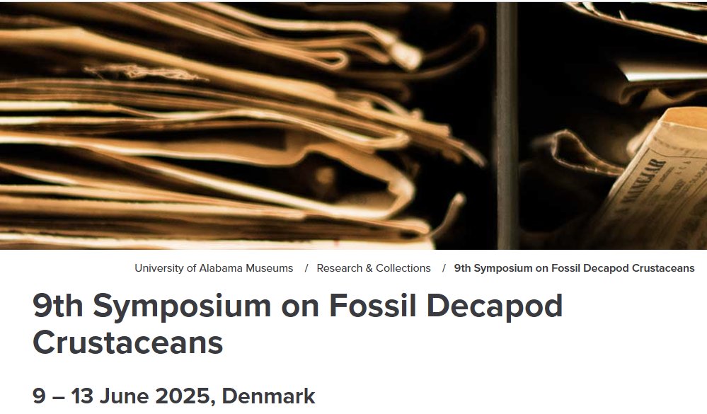 9th Symposium on Fossil Decapod Crustaceans (9-13 June 2025 in Faxe, Denmark) collections.museums.ua.edu/9th-fossil-dec… <a href="/DecaNet23/">DecaNet</a>