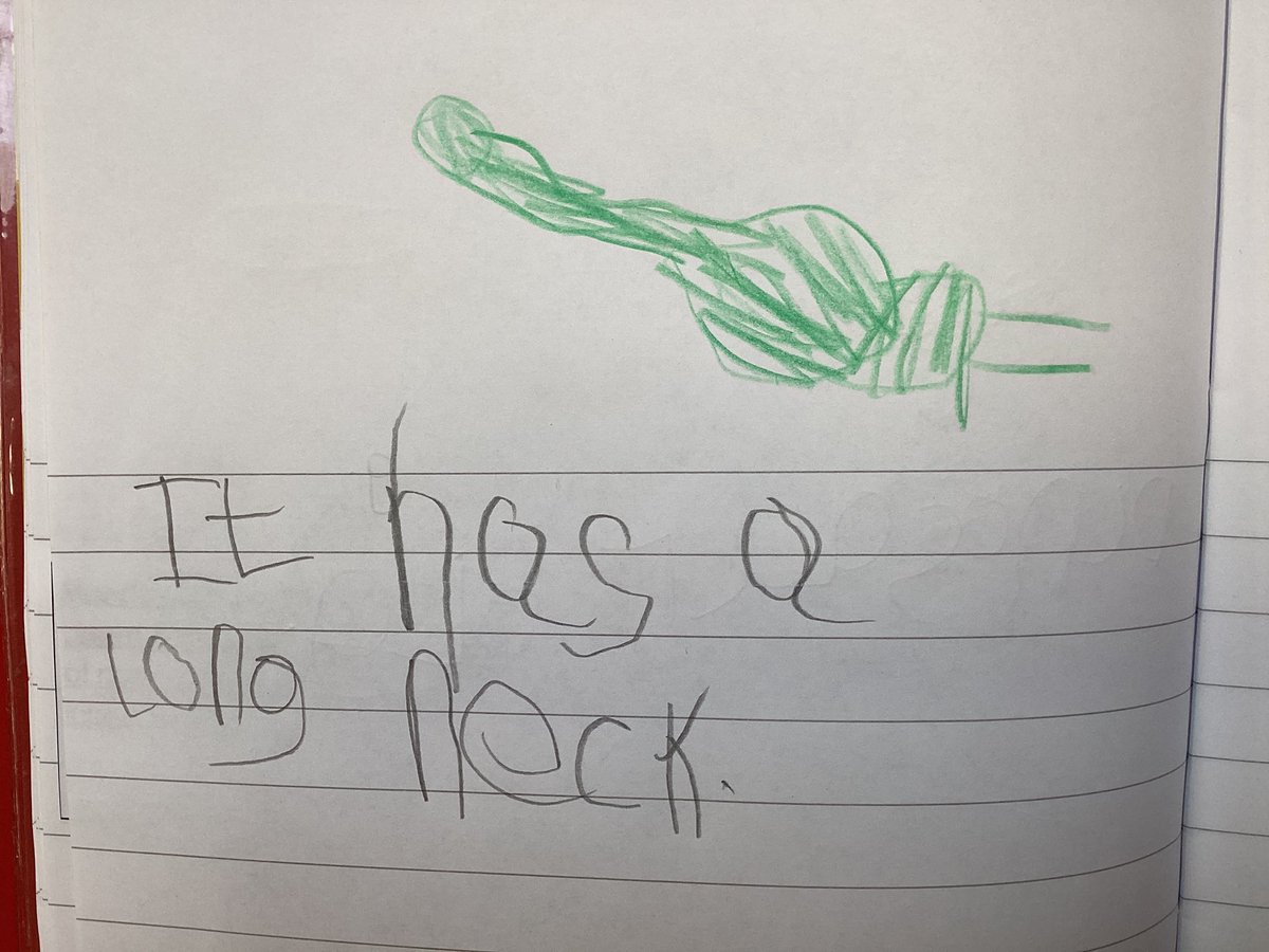 AshingdonAPA's tweet image. Reid class have been using their phonics knowledge to write sentences about dinosaurs. 🦕🦖🤩