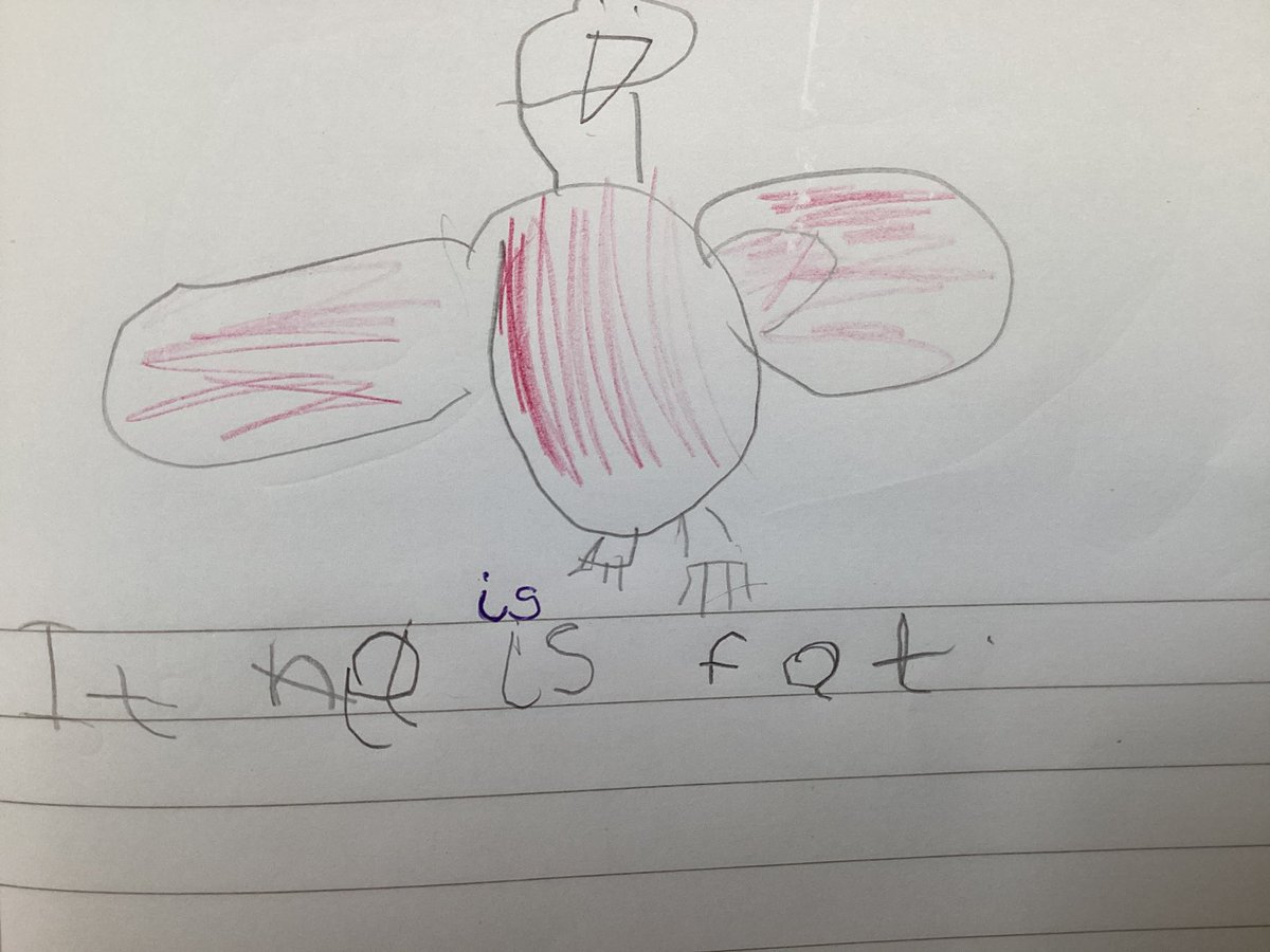 AshingdonAPA's tweet image. Reid class have been using their phonics knowledge to write sentences about dinosaurs. 🦕🦖🤩