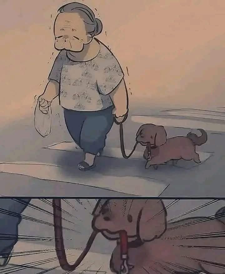 DiloConPerritos's tweet photo. No puedes controlar las acciones de nadie, la lealtad viene del corazón 🫀 https://t.co/0SrM9wnojk