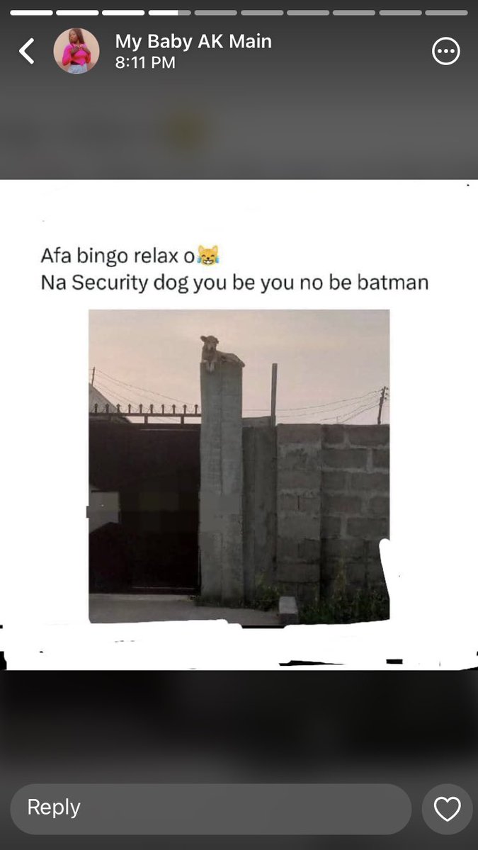 Ent_hub_for_all's tweet image. I’m sure he’s a superhero Dog 😂