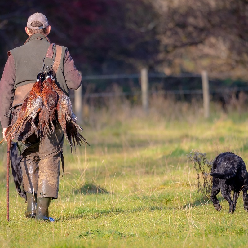 ProtectTheWild_'s tweet image. This image is sickening.

People blasting birds out of the sky for &apos;sport&apos; is vile.

We need to end bird shooting NOW!