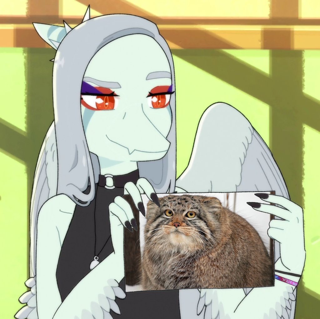 Tail the hedgeho tweet media