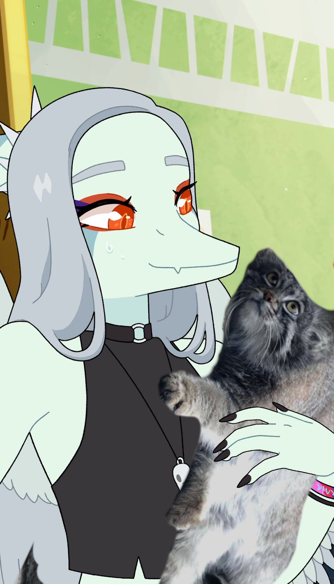 Tail the hedgeho tweet media