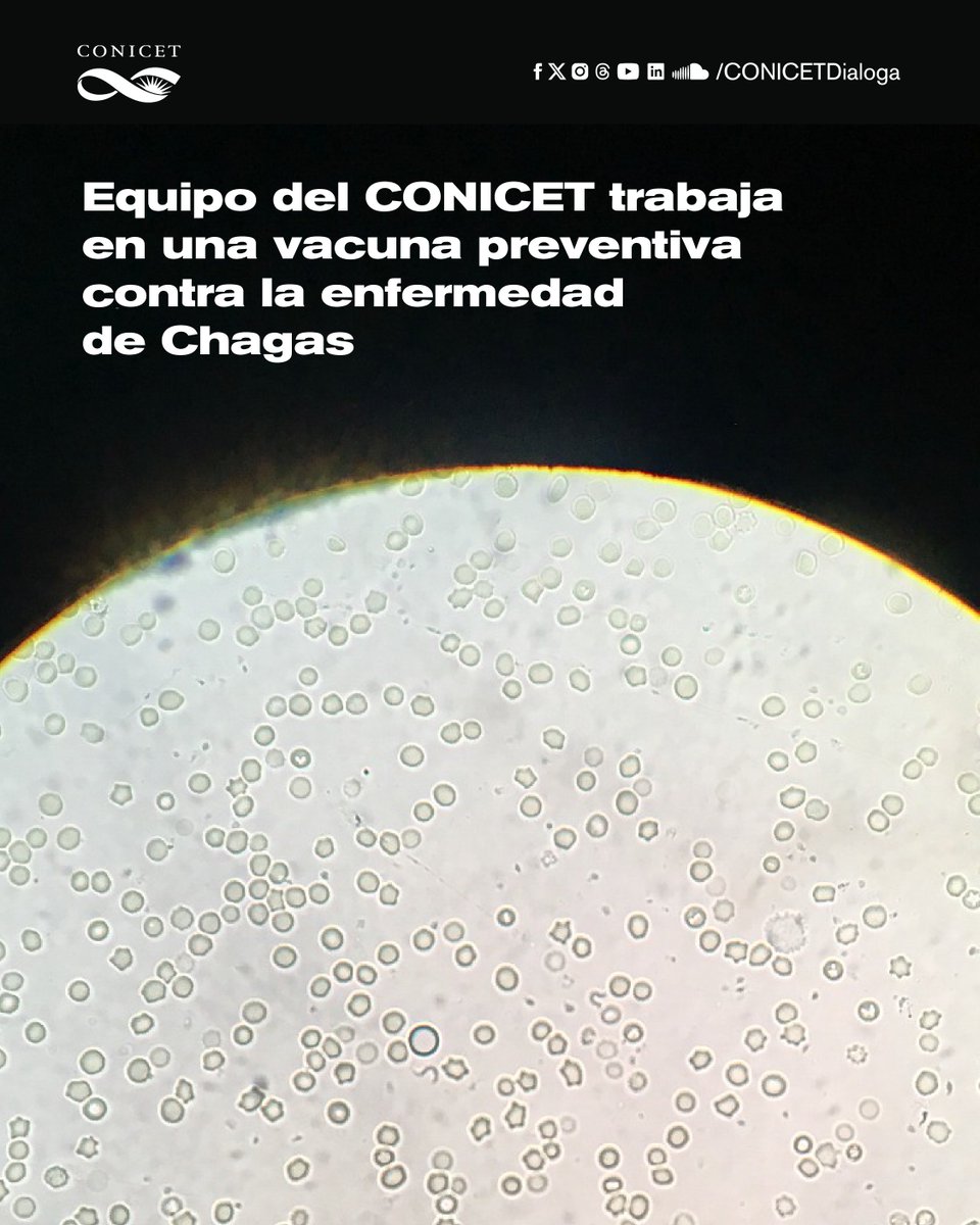🟣Científicos del CONICET trabajan en el desarrollo de una vacuna para prevenir la enfermedad de Chagas. Se encuentra en etapa preclínica y será de administración nasal.

➡️En los ensayos mostró resultados positivos en la disminución de la miocarditis, la inflamación y las