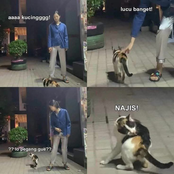 sosmed keras (@sosmedkeras) on Twitter photo 