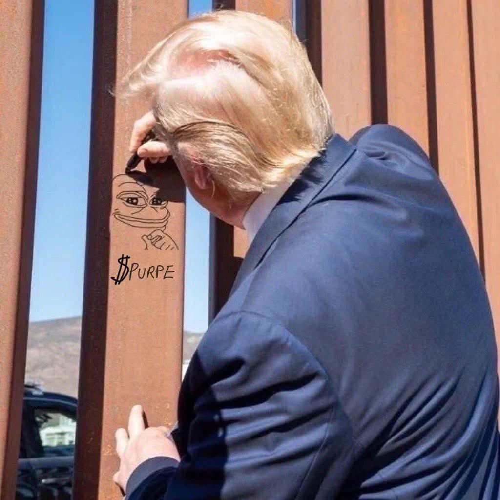 messerwon's tweet photo. You guys see what @realDonaldTrump drew on the border wall? What do you think about this @elonmusk? Purple Pepe to the moon!! 💜🚀💜🫨💜 https://t.co/gO75Bsg70T