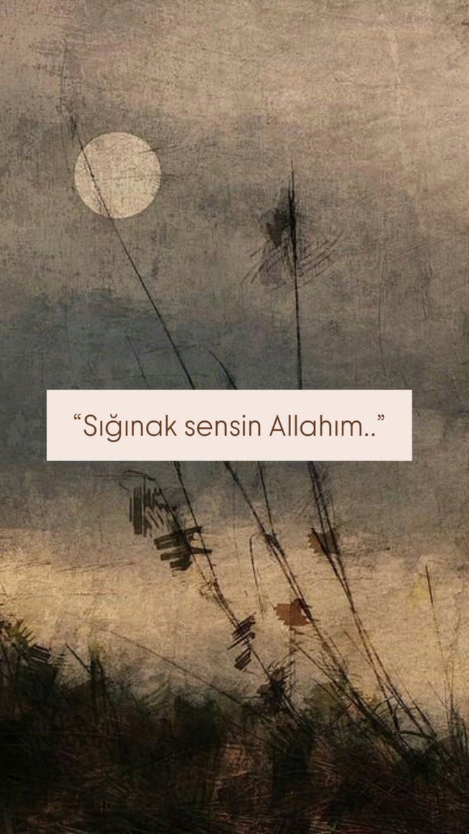 Monna Rosa (@ayaserenat) on Twitter photo 