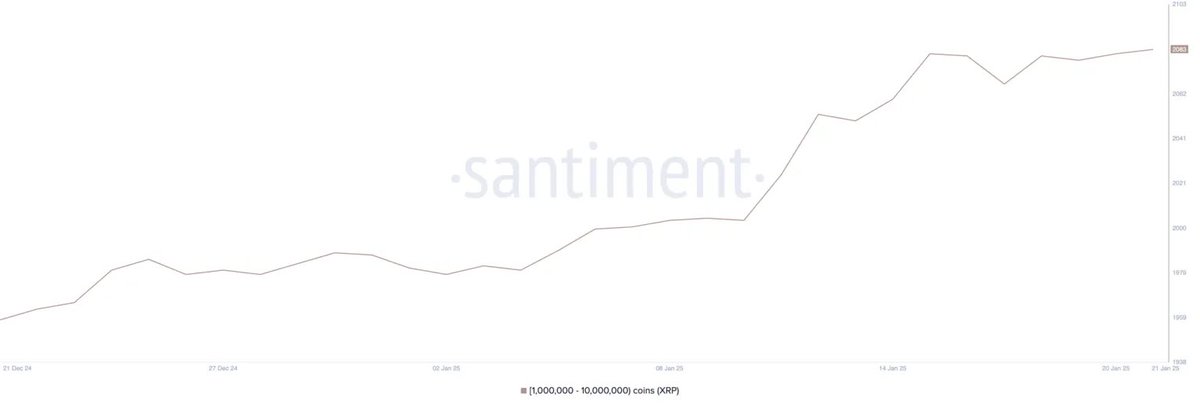 BREAKING: $XRP whale wallets holding 1 million to 10 million $XRP hit an all-time high of 2,083