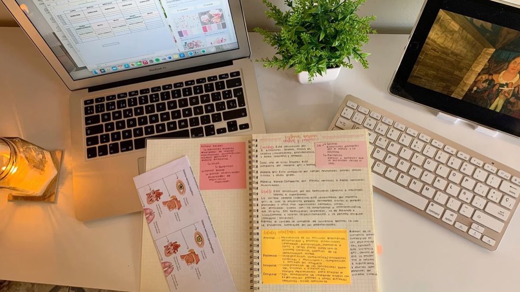 studymabs's tweet image. (*ᴗ͈ˬᴗ͈)ꕤ*.ﾟ
       sobre mim:
• vestibulanda de direito e relações internacionais 
• foco na usp
• enem e fuvest
• amo ler e ouvir música 

⌕ #studytt #studytwt