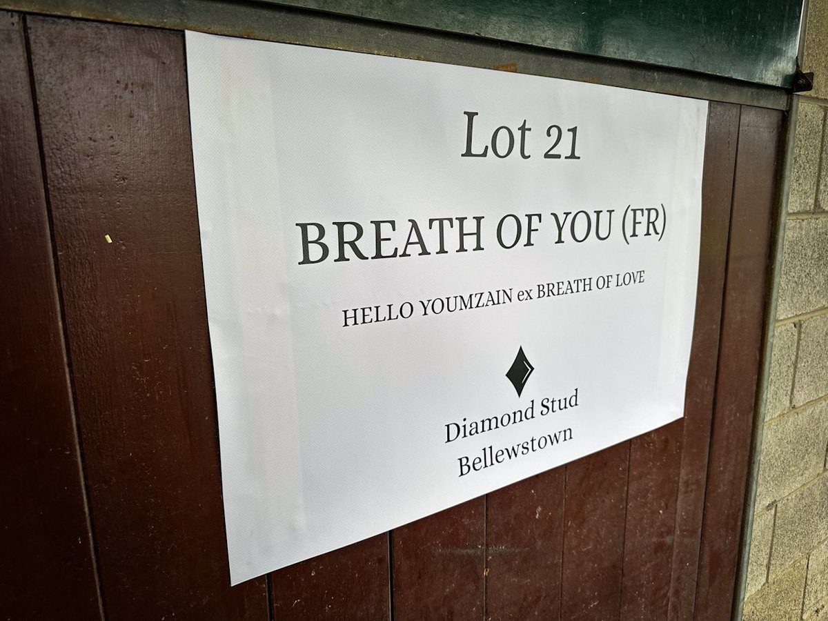 IREthoroughbred's tweet photo. Have you seen Lot 2️⃣1️⃣ BREATH OF YOU from Diamond Stud Bellewstown at @Tattersalls_ie Winter Flat &amp; NH Sale? 👀

3yo filly by Hello Youmzain out of G3 winner BREATH OF LOVE is a half to two stakes winners from a deep family. 👌 

🗓️ 10.30am 28 Jan
📖 https://t.co/MYXpKe0OeA https://t.co/zfUVR6Pg4V