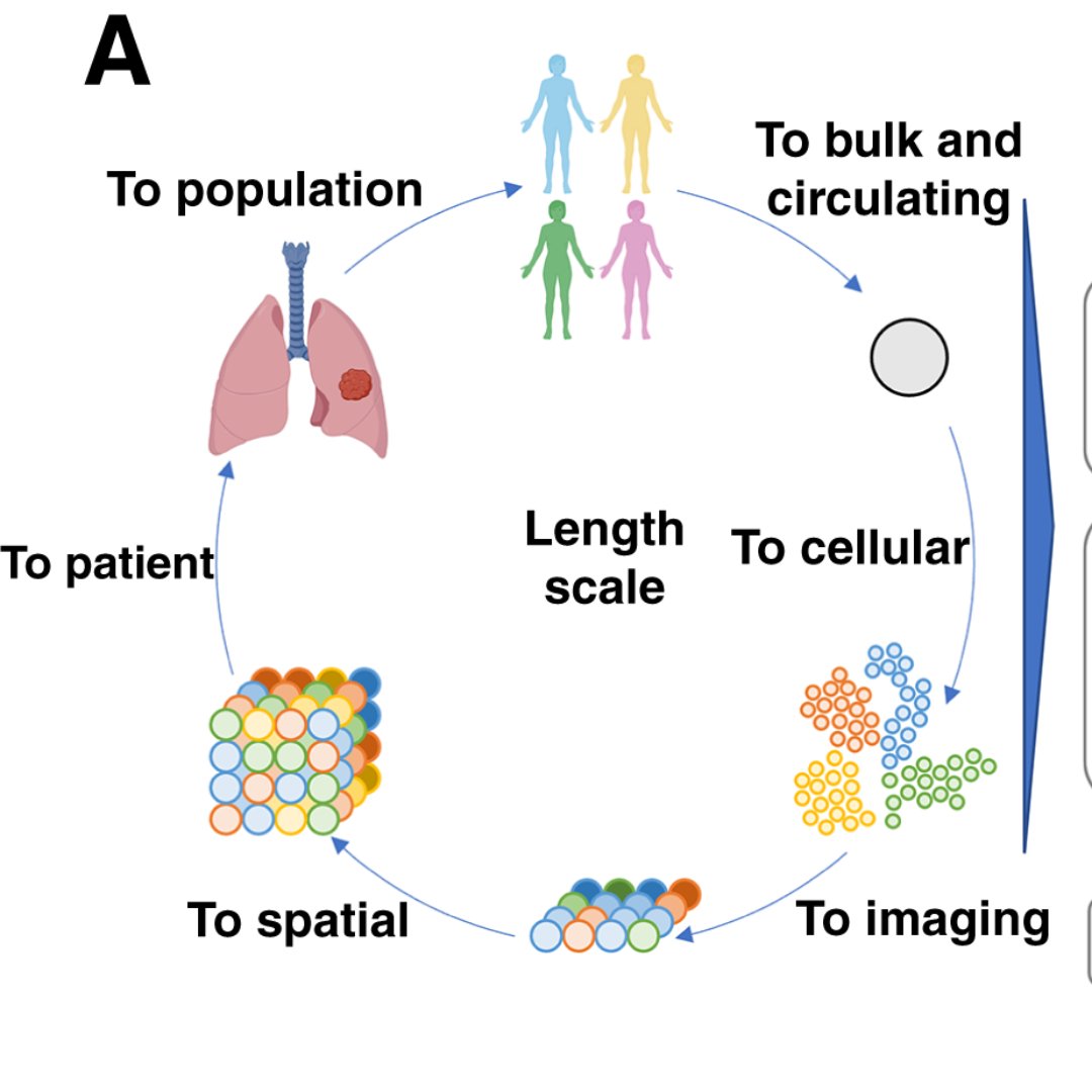 Cancer Discovery (@cd_aacr) on Twitter photo In Focus: Visualizing Cancer Heterogeneity at the Molecular and Cellular Levels: Lessons from Rosetta brnw.ch/21wQhu5 <a href="/PoulogiannisLab/">Poulogiannis Lab</a> <a href="/owen_sansom/">Owen Sansom 🏳️🌈</a> <a href="/CR_UK/">Cancer Research UK</a> <a href="/CancerGrand/">Cancer Grand Challenges</a> <a href="/AstraZeneca/">AstraZeneca</a> <a href="/QMBCI/">Barts Cancer Institute (Queen Mary)</a> <a href="/ICR_London/">The ICR</a> <a href="/TheCrick/">The Francis Crick Institute</a> <a href="/CRUK_CI/">CRUK Cambridge Institute</a> <a href="/imperialcollege/">Imperial College London</a> <a href="/CRUK_SI/">CRUK Scotland Inst</a> In Focus: Visualizing Cancer Heterogeneity at the Molecular and Cellular Levels: Lessons from Rosetta brnw.ch/21wQhu5 <a href="/PoulogiannisLab/">Poulogiannis Lab</a> <a href="/owen_sansom/">Owen Sansom 🏳️🌈</a> <a href="/CR_UK/">Cancer Research UK</a> <a href="/CancerGrand/">Cancer Grand Challenges</a> <a href="/AstraZeneca/">AstraZeneca</a> <a href="/QMBCI/">Barts Cancer Institute (Queen Mary)</a> <a href="/ICR_London/">The ICR</a> <a href="/TheCrick/">The Francis Crick Institute</a> <a href="/CRUK_CI/">CRUK Cambridge Institute</a> <a href="/imperialcollege/">Imperial College London</a> <a href="/CRUK_SI/">CRUK Scotland Inst</a>