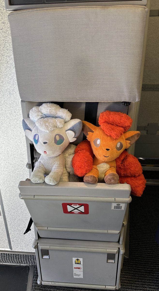 totemo_ichiro's tweet photo. 3年ぶりのAIRDOは…

「ロコンジェット北海道」でした！

左舷側はアローラロコン、
右舷側はロコンで左右非対称のデザイン

ヘッドレストカバーや紙コップ、エプロンなども特別仕様です…✈︎ https://t.co/4G0DOpf7Vq