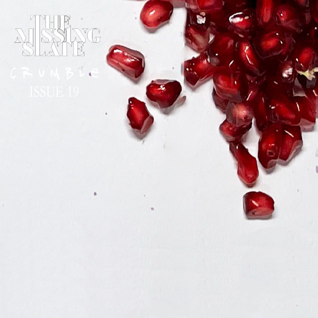 Crumble, resist, regrow, and ignite with Issue #19 of The Missing Slate, forthcoming January 2025. 
For all publishing related queries, please drop in a message or email us at: info@themissingslate.com