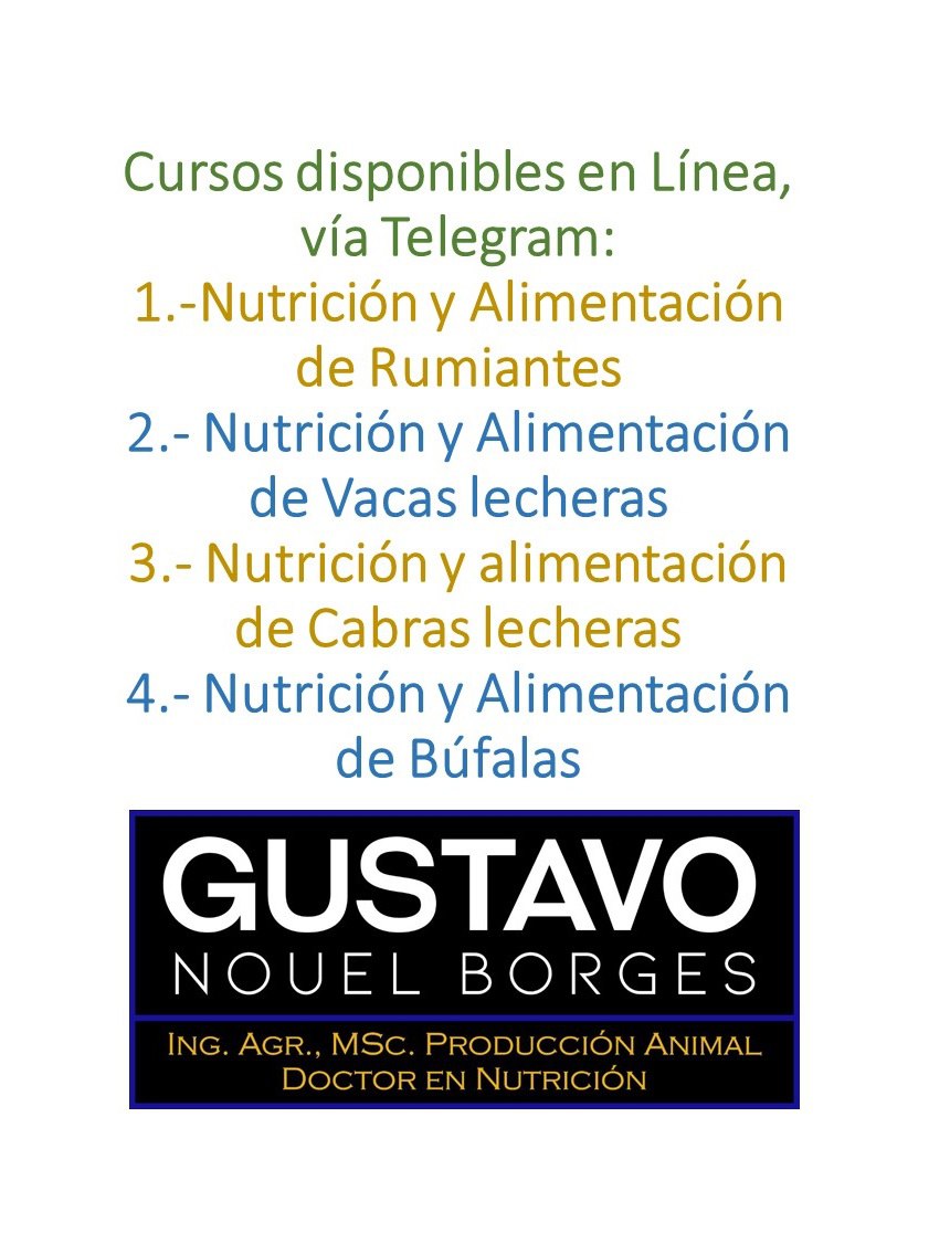 GustavoENouelB's tweet photo. Cursos en Línea Vía Telegram disponibles Ya #nutricionyalimentacion #vacas lecheras #cabraslecheras #bufalas https://t.co/0VrMWA0Tr3
