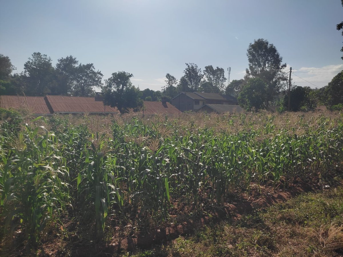 Land On Sale!!
Prime land 50 by 100 at Kiambuthi behind Mini Inn available at access Via Embu 014 Lounge.
Price; 4.4m. Negotiable.
Documents; All ready.
Viewing Time Available.
Call us; 0113493272 | 0105 752244
#USD99 #Adamsoloo #Kairo #Adamtraore #gaitho