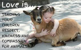 MyVegan_Reach's tweet photo. Every act of kindness counts. Love and respect for animals is something we must teach and show every day. #RespectForAllLife https://t.co/yneIHyGHla