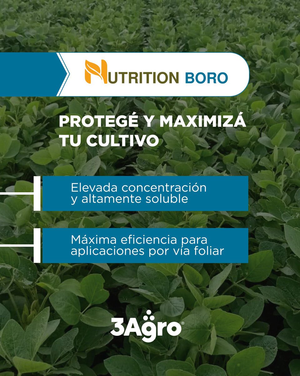 ɴᴜᴛʀɪᴛɪᴏɴ ʙᴏʀᴏ⤵️
🌱Tecnología fertilizante a base de Boro, formulado como un complejo líquido boratado (boroetanolamina) de elevada concentración, altamente soluble y asimilable por los cultivos.

<a href="/AgerAgro/">AGER</a> 

#3agro