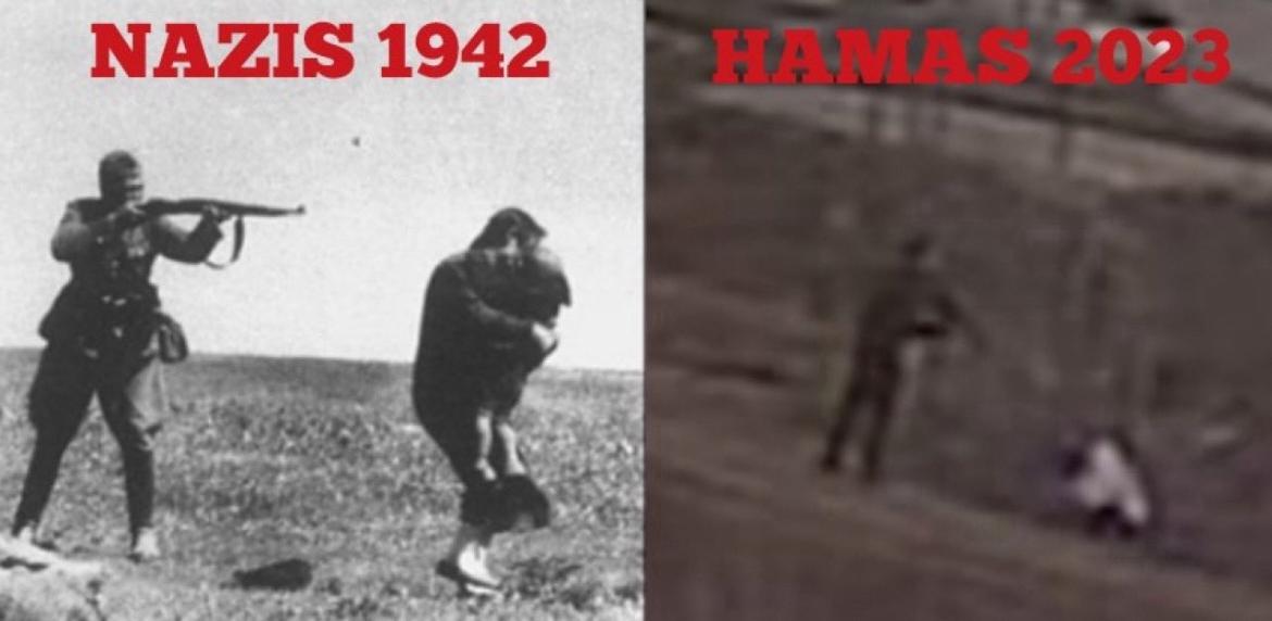 Vivid.🇮🇱 tweet media