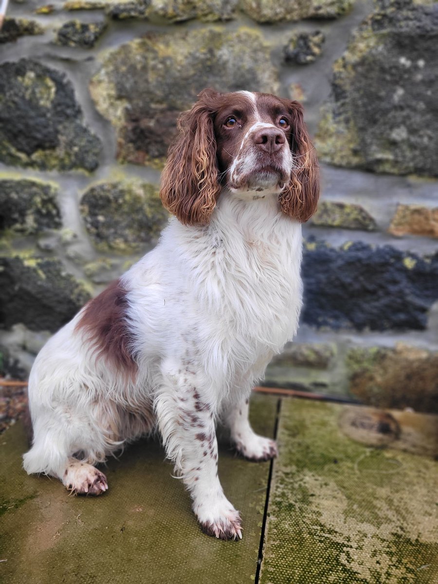 🎈 🔟🎈 can't quite believe this, but today, our Bubba has reached double digits!! The best boy in the entire world! Happy birthday bubba! 💙