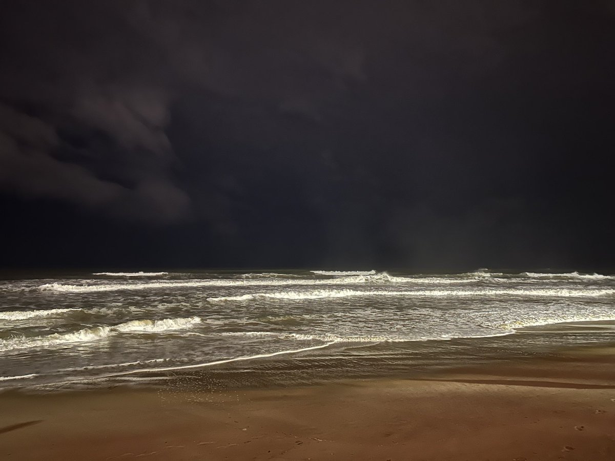 HoJin Jeon tweet media