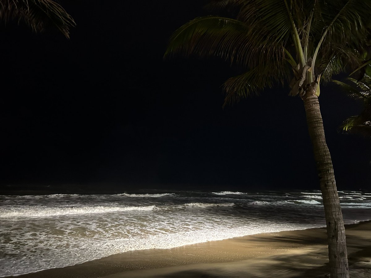 HoJin Jeon tweet media