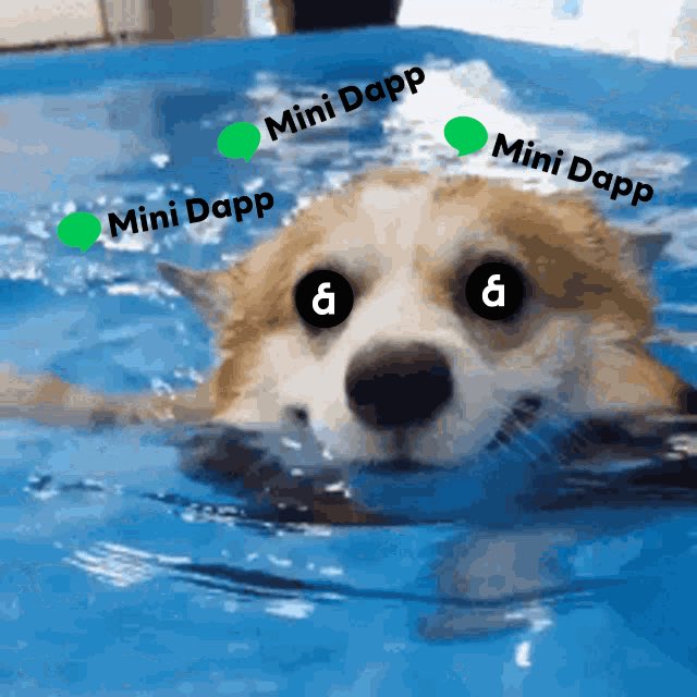 TheDeFiPlug tweet picture