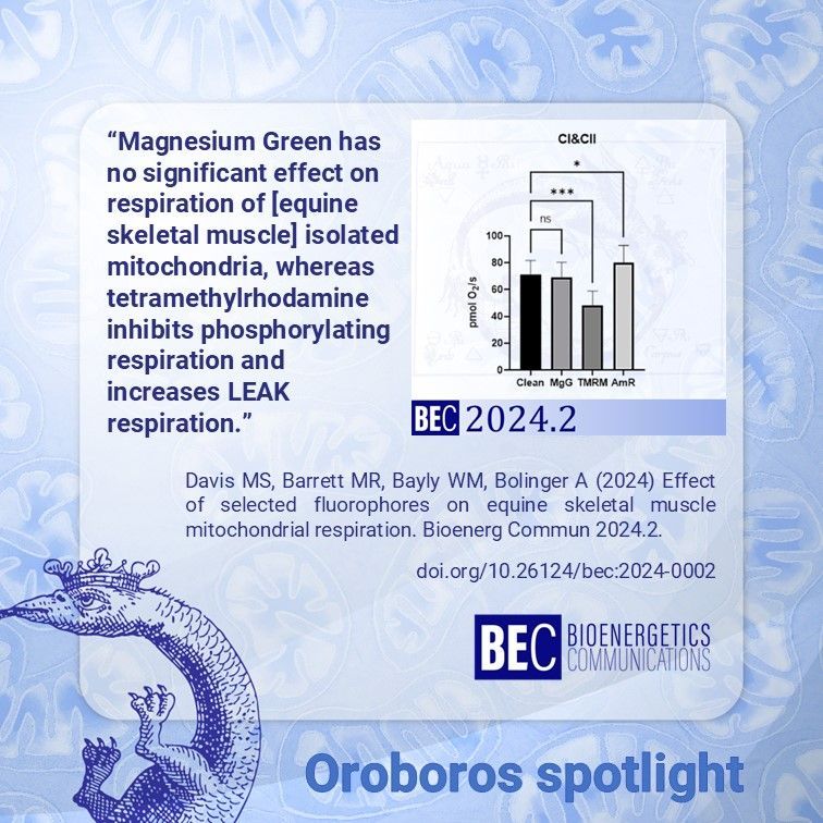 OroborosI's tweet image. In this @bioenerg_commun publication, Davis et al examine the effect of 3 common dyes used in fluorespirometry on mitochondrial respiration. 🐎🧪
buff.ly/4gkTYUF

#O2kNetwork #bioenergetics #HighResolutionRespirometry #equine #skeletalmuscle