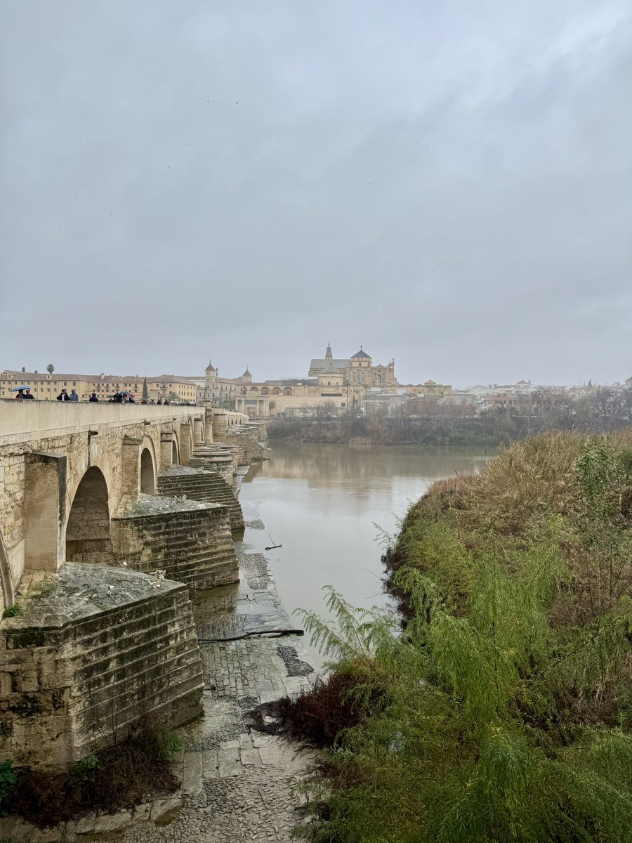EEvasrsd22's tweet photo. Cordoba, Andalucía. https://t.co/D74uuncuy3
