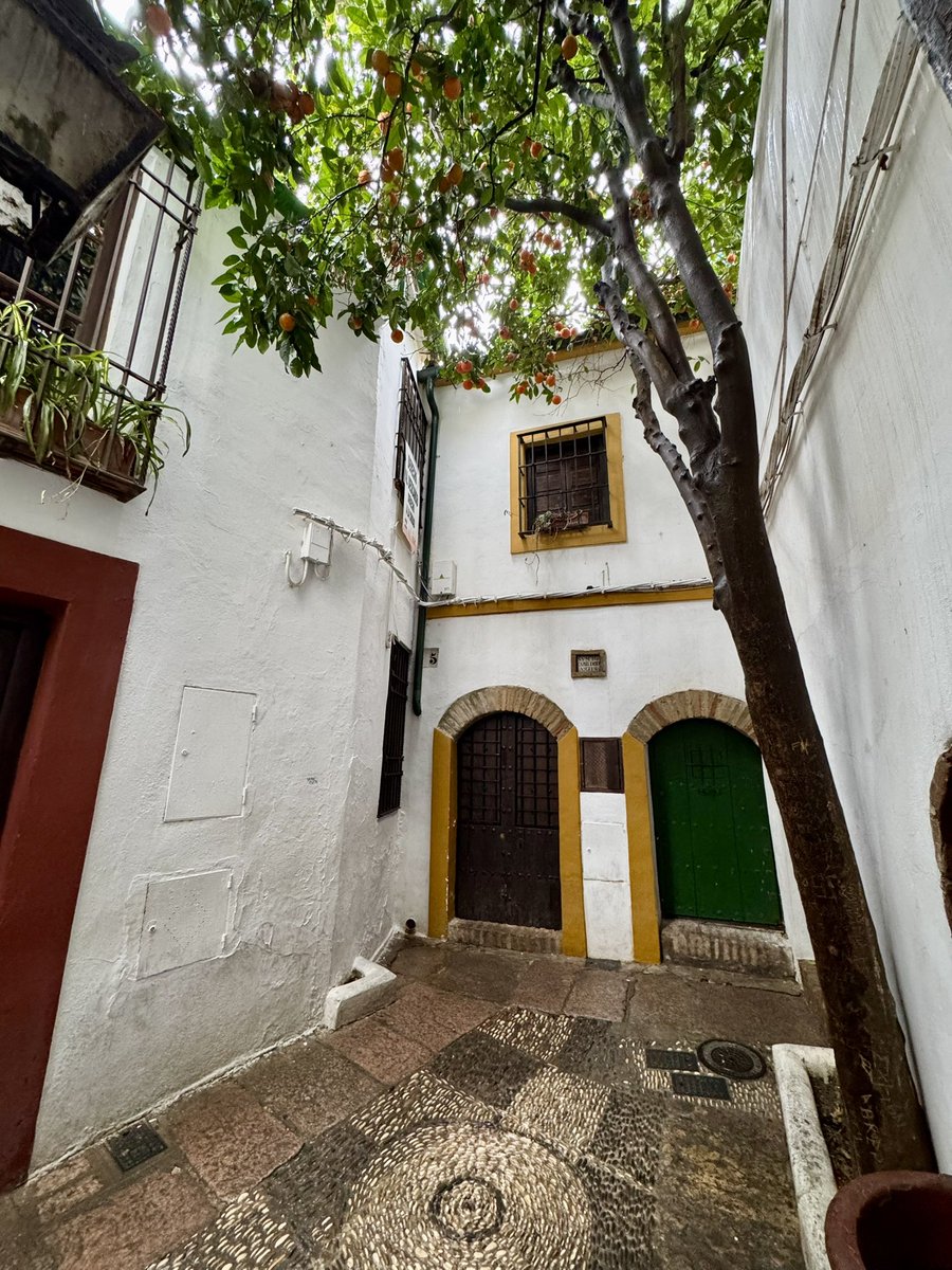 EEvasrsd22's tweet photo. Cordoba, Andalucía. https://t.co/D74uuncuy3
