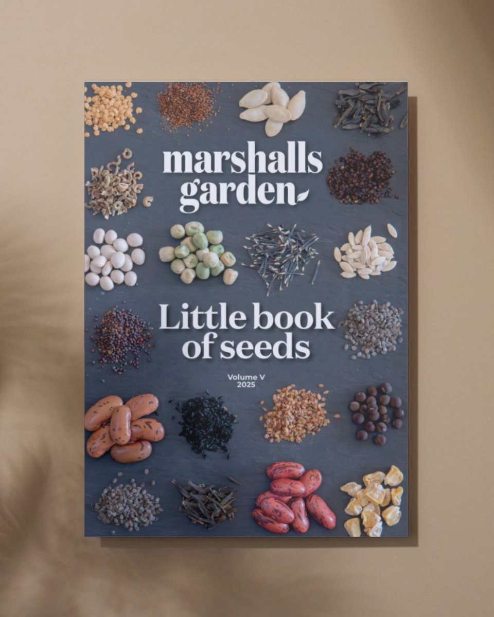 Have you grabbed your copy yet? 👀 Our Little Book of Seeds 2025 is here, and it’s packed with everything you need to make this year’s garden your best yet. Veggies, flowers, a few surprises - it’s all in there. P.S. We also currently have 20% off everything!*