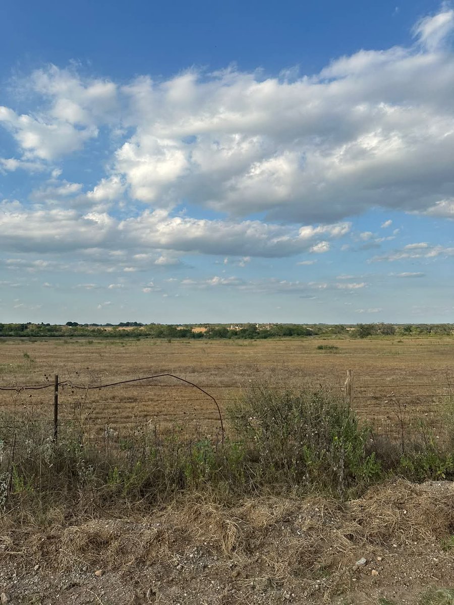 wait4pm's tweet photo. Poteet Tx
10.1 acres
$195,000 

🌐 Property Features:

✅ No restrictions
✅ Fencing
✅ Gated entry
✅ Power along the road
✅ Owner financing available

 🏞️ Call me now! 📞 https://t.co/VB4e7Fncr9