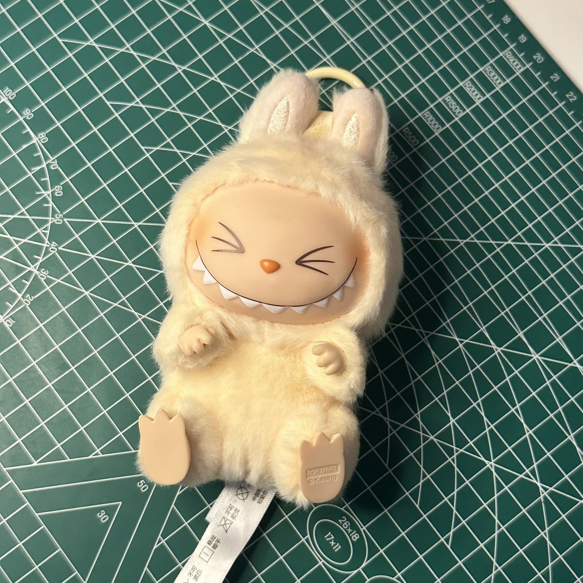 ˚🖇️ GIVEAWAY LABUBU SISI  ˖⋆⑅˚₊ 

ꗃ follow me + retweet + like + rep done 

close💭 : 1 FEB 2025

good luck y'all⊹ ᮫﹆ֹ 🎀