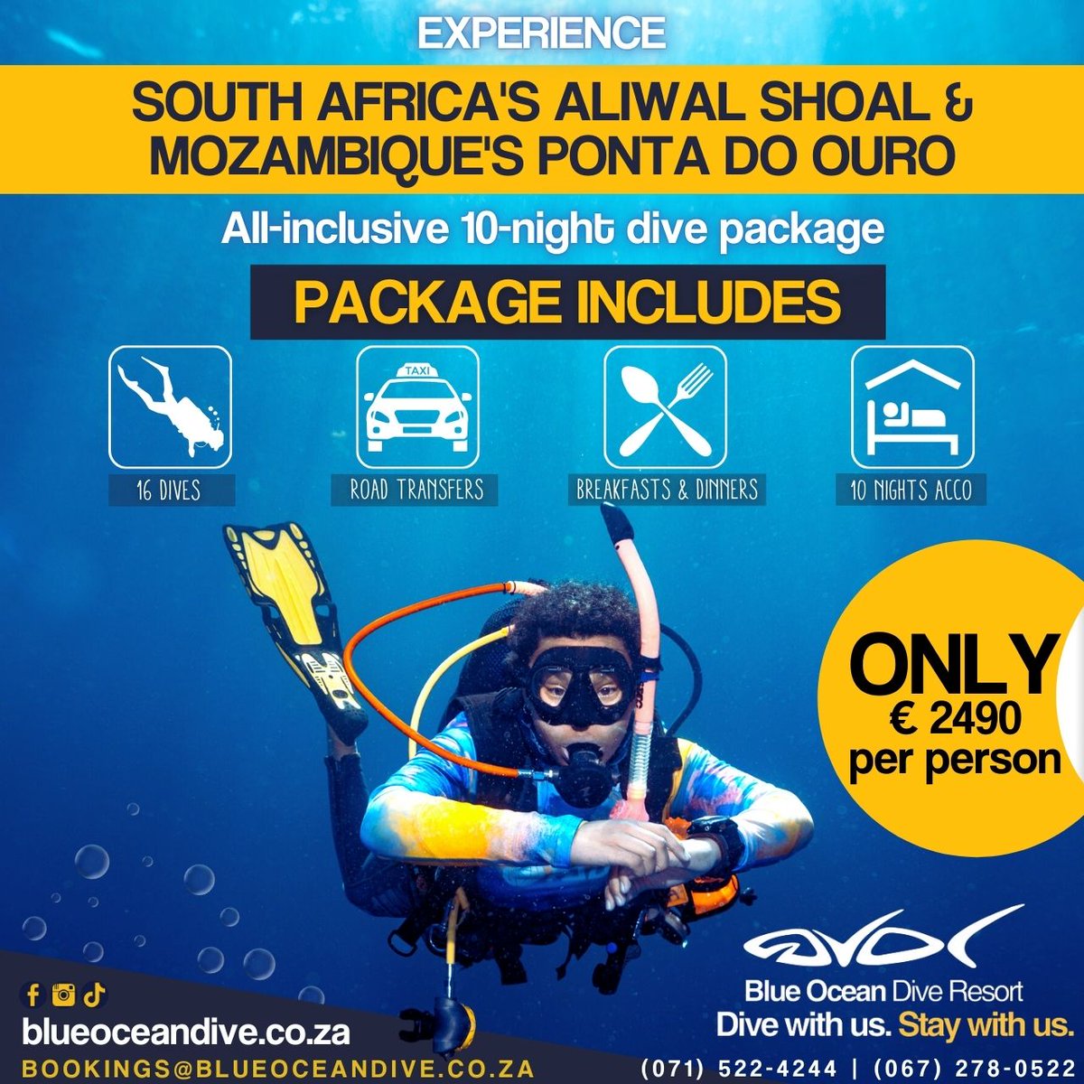 💥 Limited spots available – book now and make memories that last a lifetime! 📅 

All of this for only € 2540 (single) OR € 2490 (sharing) 

👉 bit.ly/3PJmgxj 

#DiveAdventure #AliwalShoal #PontaDoOuro #OceanLovers #ReefDiving #WreckDiving