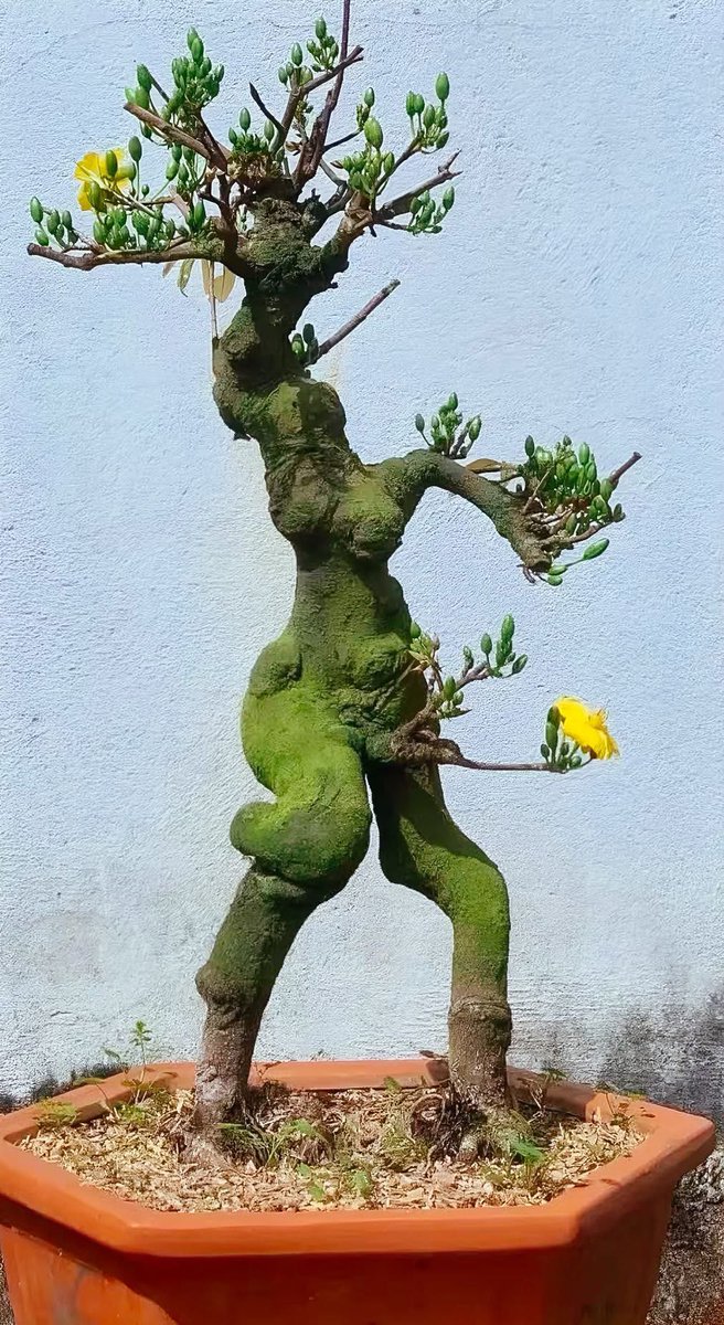 Đến một giai đoạn nào đó, cuộc sống sẽ bắt đầu làm phép trừ với bạn.

Nó sẽ lấy đi sức khoẻ của bạn.

Để bạn biết mỗi ngày trôi qua còn khoẻ mạnh bình an là một ngày quý giá 

Nó sẽ lấy đi một vài người bạn của bạn.

Để bạn nhận ra ai mới là