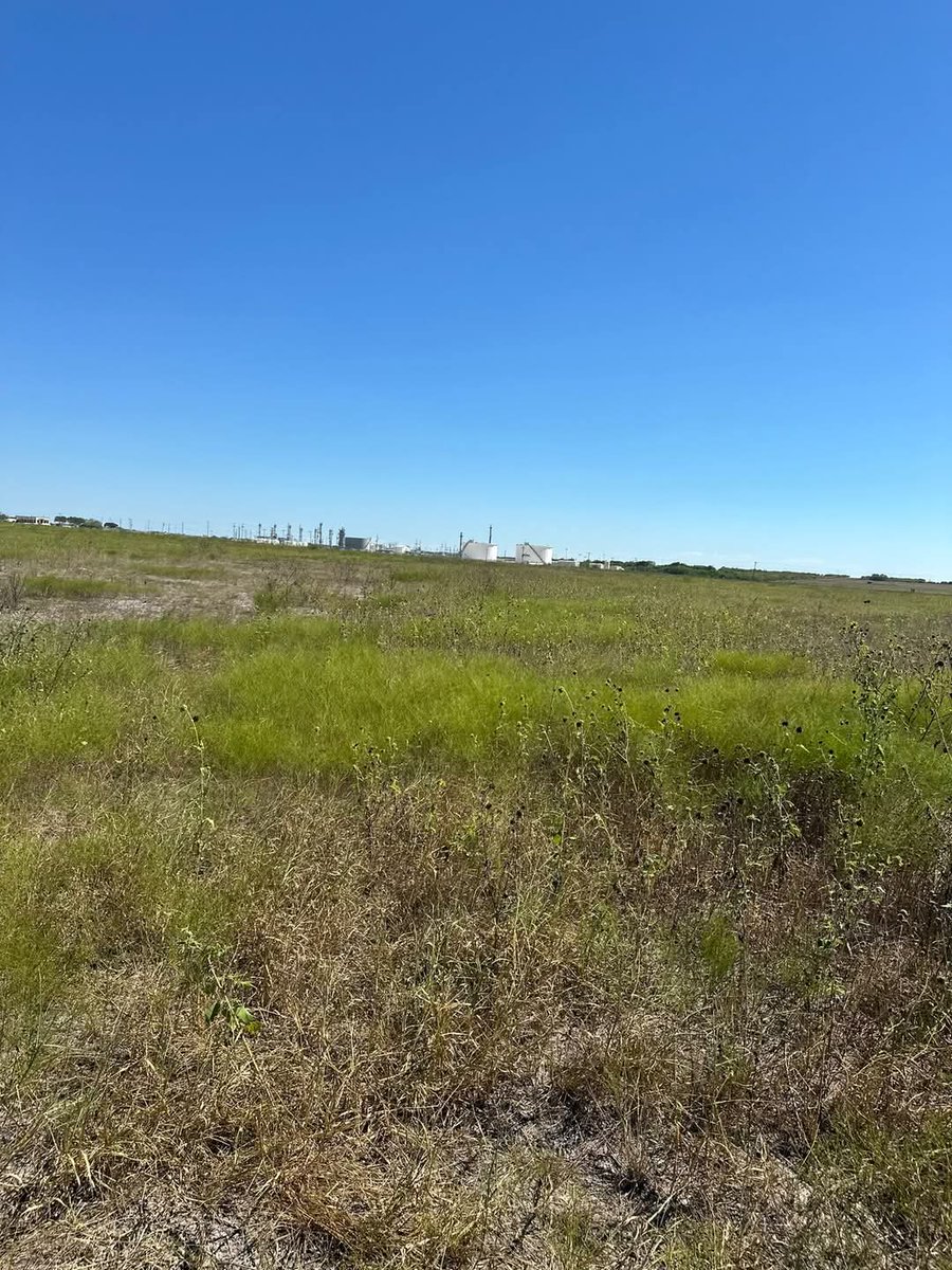 wait4pm's tweet photo. Kennedy Tx
5 acres
$95,000

Property Details:
✅ Fencing, Gate and Culvert 
✅ Water Line Along Fm Available
✅ Water line on cr being upgraded
✅ Power along road
✅ No flood plain
✅ Surveys to be ordered

Call today for more information! 📞 https://t.co/WxXSaTrXr8