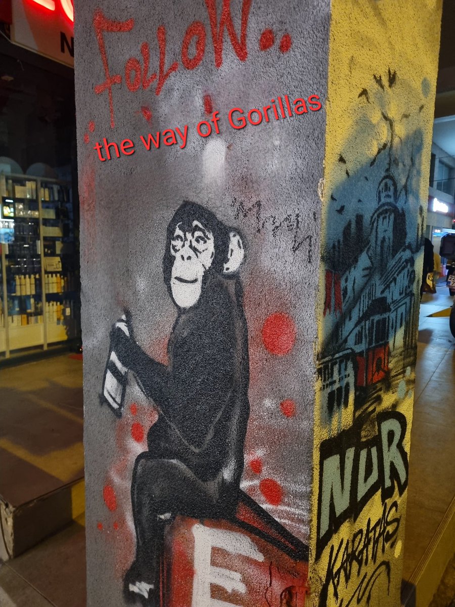 ladyCMove's tweet image. Taking 'gorilla movement' to a whole new level—street art edition! 🦍🎨 #FollowTheGorillas 
@movementlabsxyz
#Gmove